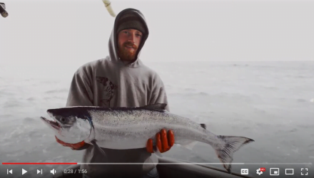 Tính bền vững của hải sản Alaska