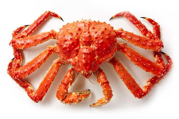 king-crab_2